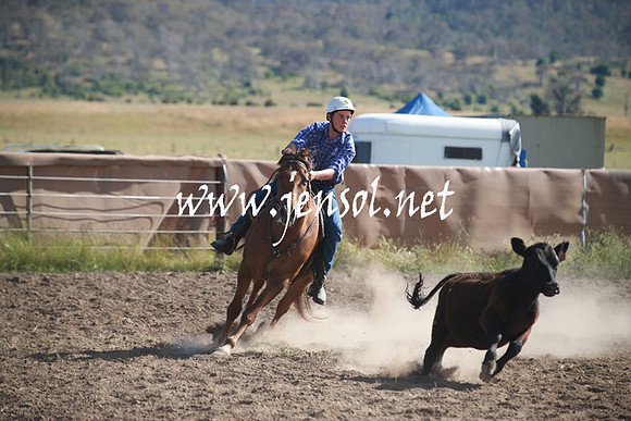 AdaminabyCampdraftSun_0125