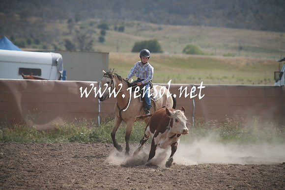 AdaminabyCampdraftSun_0199