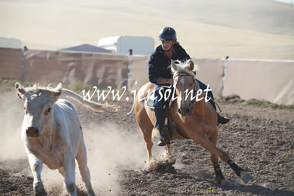 AdaminabyCampdraftSun_0036