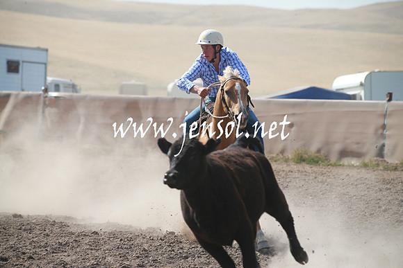 AdaminabyCampdraftSun_0175