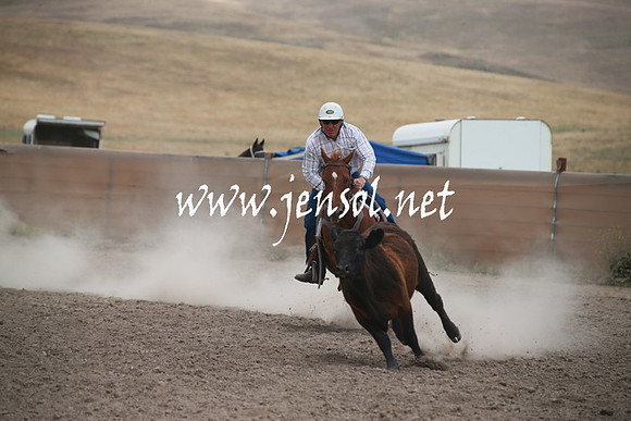 AdaminabyCampdraftSun_0239