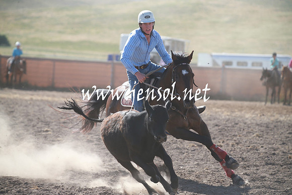 AdaminabyCampdraftSun_0102