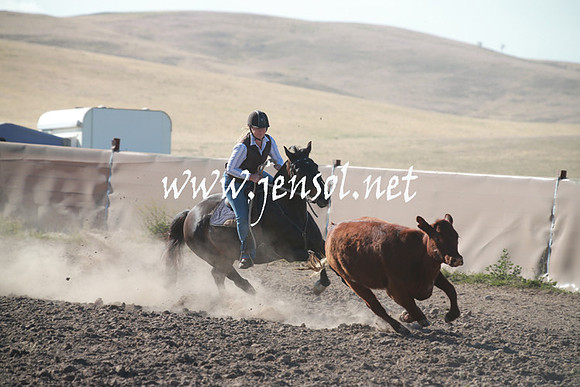 AdaminabyCampdraftSun_0023
