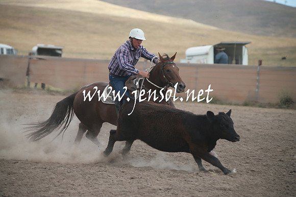 AdaminabyCampdraftSun_0318