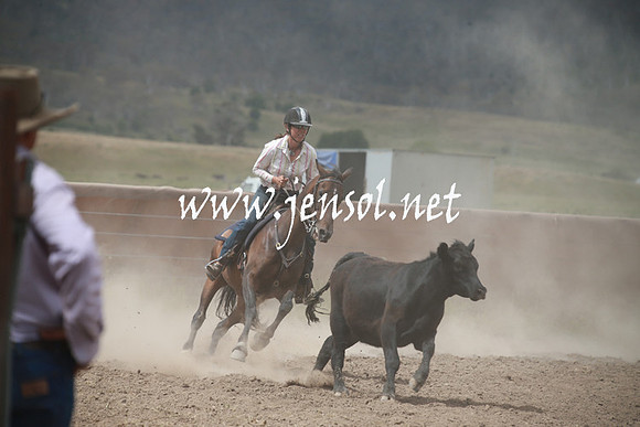 AdaminabyCampdraftSun_0331