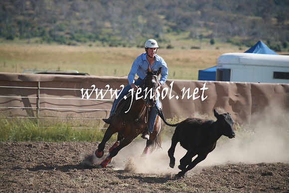 AdaminabyCampdraftSun_0098