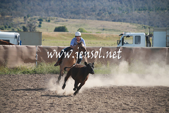 AdaminabyCampdraftSun_0107