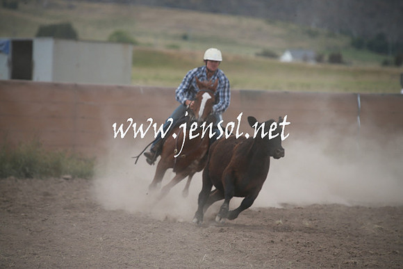 AdaminabyCampdraftSun_0279