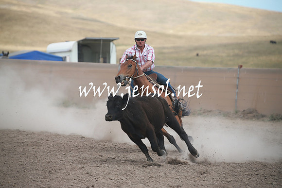AdaminabyCampdraftSun_0259
