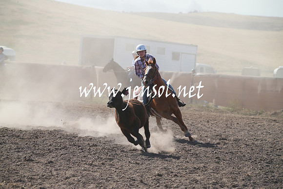 AdaminabyCampdraftSun_0139