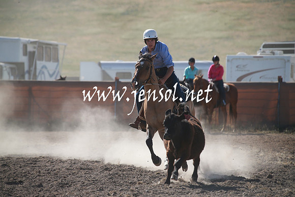 AdaminabyCampdraftSun_0113
