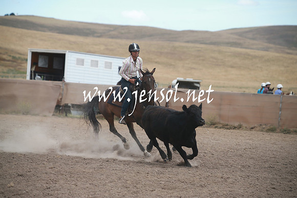 AdaminabyCampdraftSun_0336