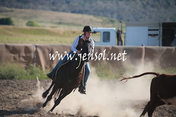 AdaminabyCampdraftSun_0022