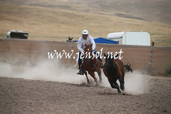AdaminabyCampdraftSun_0236