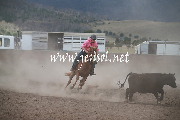 AdaminabyCampdraftSun_0250