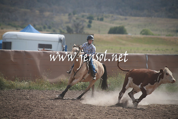 AdaminabyCampdraftSun_0202