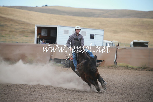 AdaminabyCampdraftSun_0271