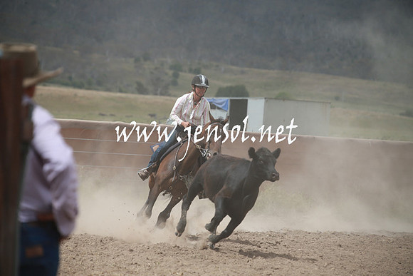 AdaminabyCampdraftSun_0329