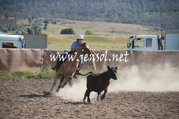 AdaminabyCampdraftSun_0109