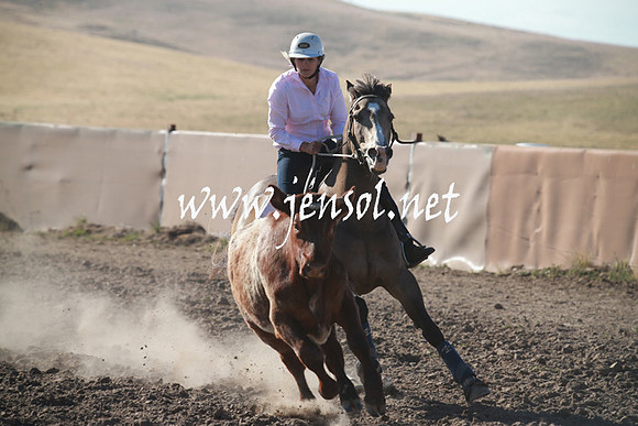 AdaminabyCampdraftSun_0012