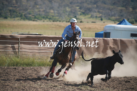 AdaminabyCampdraftSun_0099