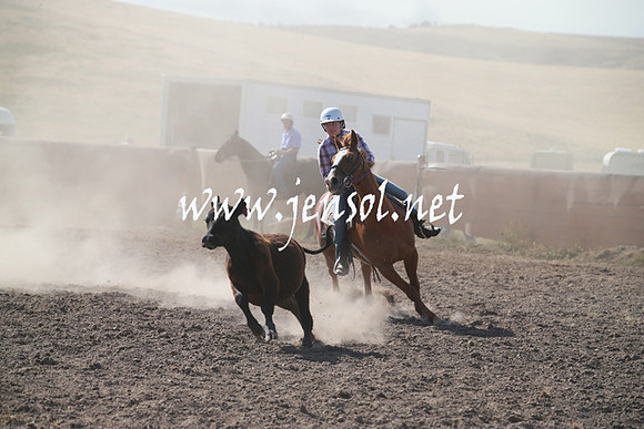 AdaminabyCampdraftSun_0140