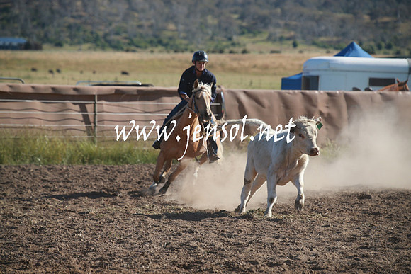 AdaminabyCampdraftSun_0032