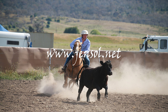 AdaminabyCampdraftSun_0173