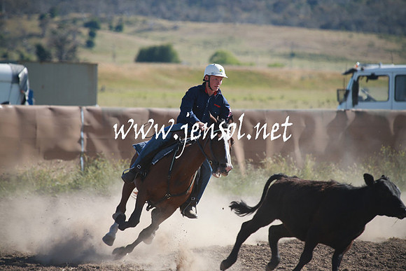 AdaminabyCampdraftSun_0070