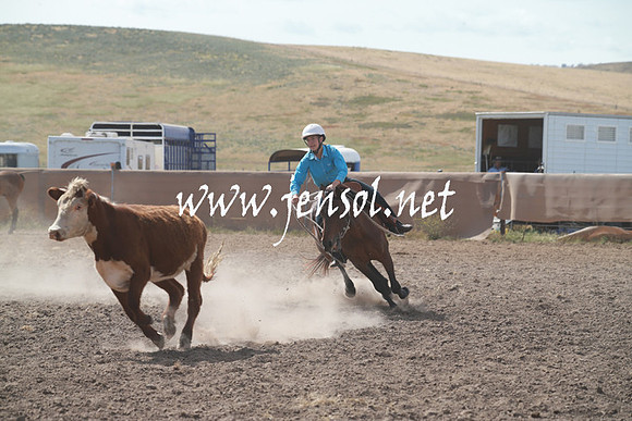 AdaminabyCampdraftSun_0189