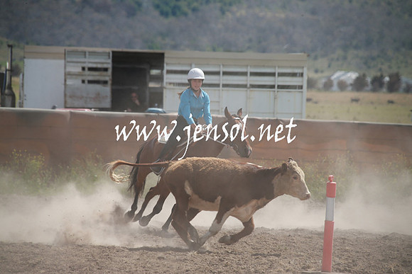 AdaminabyCampdraftSun_0218