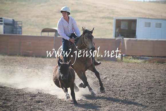 AdaminabyCampdraftSun_0080