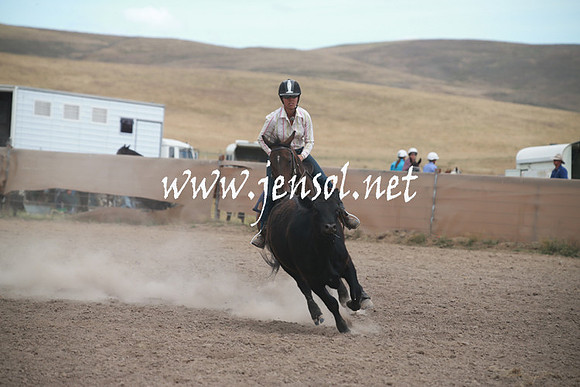 AdaminabyCampdraftSun_0338