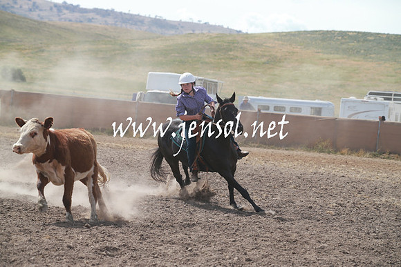 AdaminabyCampdraftSun_0209