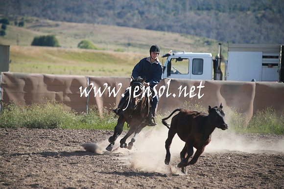 AdaminabyCampdraftSun_0063