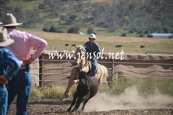 AdaminabyCampdraftSun_0143