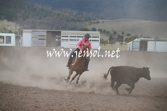 AdaminabyCampdraftSun_0249