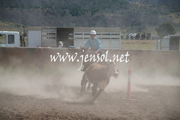 AdaminabyCampdraftSun_0188