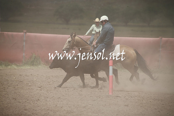 AdaminabyCampdraftSun_0299