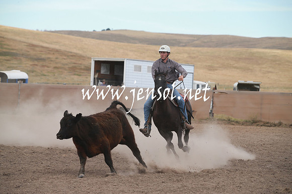 AdaminabyCampdraftSun_0276