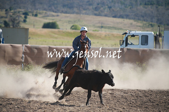 AdaminabyCampdraftSun_0088