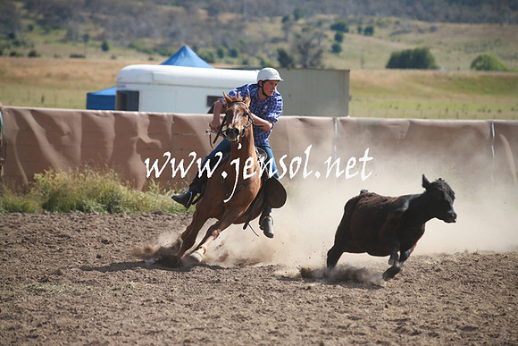 AdaminabyCampdraftSun_0155