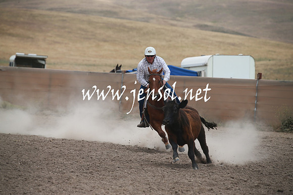 AdaminabyCampdraftSun_0238