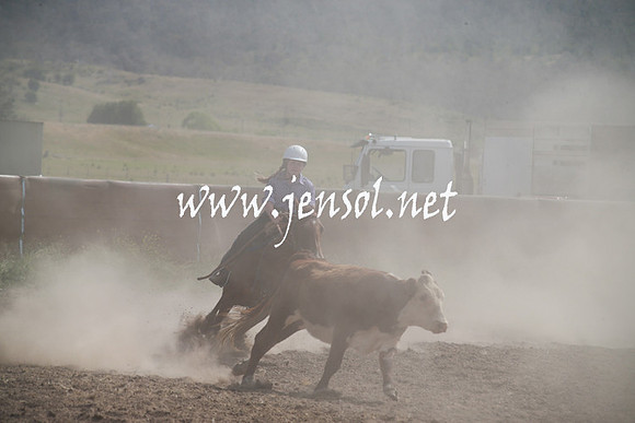 AdaminabyCampdraftSun_0191