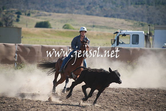 AdaminabyCampdraftSun_0089