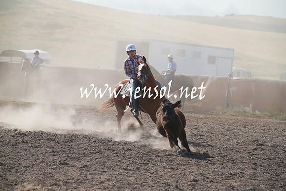 AdaminabyCampdraftSun_0136