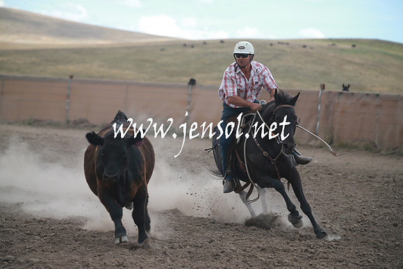 AdaminabyCampdraftSun_0362