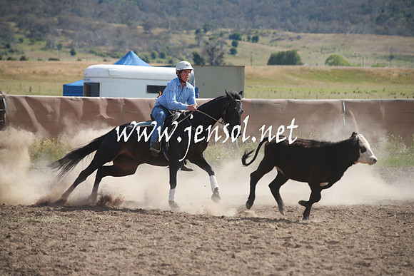 AdaminabyCampdraftSun_0167