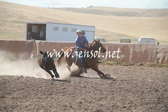 AdaminabyCampdraftSun_0161