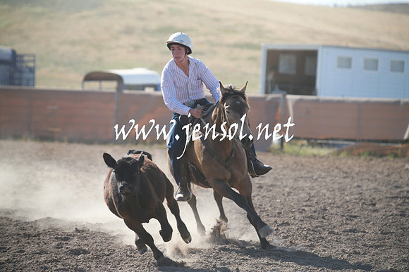 AdaminabyCampdraftSun_0082